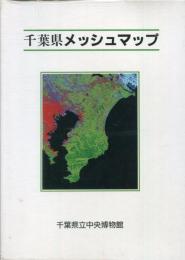 千葉県メッシュマップ