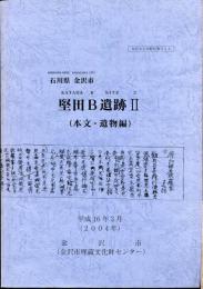 堅田B遺跡