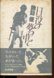 日没の夢の中で