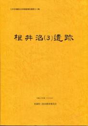根井沼 (3) 遺跡