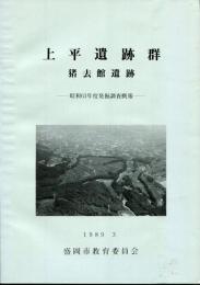 上平遺跡群 : 発掘調査概報