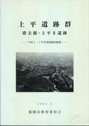 上平遺跡群 : 発掘調査概報