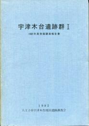 宇津木台遺跡群 : 発掘調査報告書