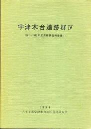 宇津木台遺跡群 : 発掘調査報告書