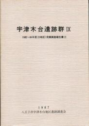 宇津木台遺跡群 : 発掘調査報告書