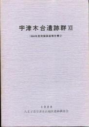 宇津木台遺跡群 : 発掘調査報告書