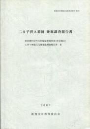 二タ子沢A遺跡発掘調査報告書