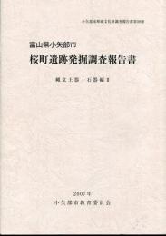 桜町遺跡発掘調査報告書