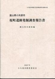 桜町遺跡発掘調査報告書