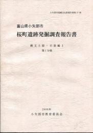 桜町遺跡発掘調査報告書