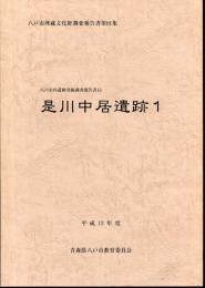 是川中居遺跡