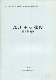 是川中居遺跡 : 長田沢地区