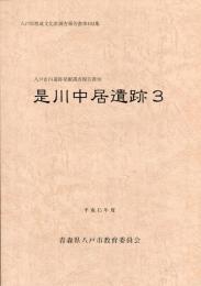 是川中居遺跡
