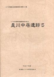 是川中居遺跡