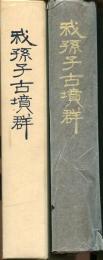 我孫子古墳群