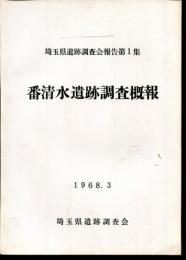 番清水遺跡調査概報