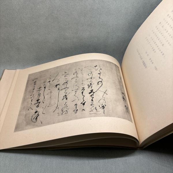 親鸞聖人御消息(秋葉曉滴) / 古本、中古本、古書籍の通販は「日本の