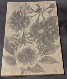 ダーリアの栽培