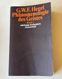 Phänomenologie des Geistes