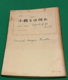 小説とは何か