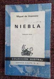 NIEBLA 霧