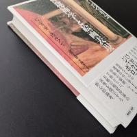 フラ・アンジェリコ　神秘神学と絵画表現　☆