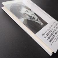 ハンナ・アーレント、あるいは政治的思考の場所　☆