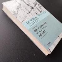 わが名はガンテンバイン  鏡のなかへの墜落　☆
