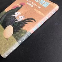 ゴッケル物語　☆