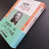加藤周一セレクション　4　芸術の個性と社会の個性　