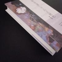 手続を通しての正統化　☆