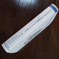 アイスキュロスと世阿弥のドラマトゥルギー　ギリシア悲劇と能の比較研究　☆