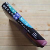 インターセクショナリティの批判的社会理論　☆