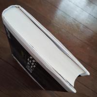 互助社会論　ユイ、モヤイ、テツダイの民俗社会学　☆