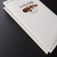 シェリング講義　☆