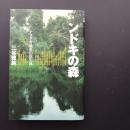 ンドキの森　アフリカ最後の原生林　☆