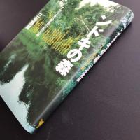 ンドキの森　アフリカ最後の原生林　☆