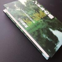 ンドキの森　アフリカ最後の原生林　☆