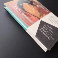 純粋な人間たち　☆