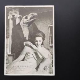 岡上淑子全作品  The complete works of Toshiko Okanoue　☆
