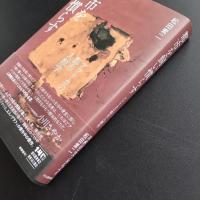 都市を飼い慣らす　アフリカの都市人類学　☆