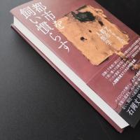 都市を飼い慣らす　アフリカの都市人類学　☆