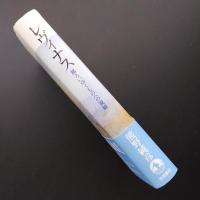 レヴィナス　移ろいゆくものへの視線　☆