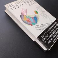 メタファーの現象学　☆