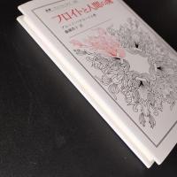 フロイトと人間の魂　叢書ウニベルシタス 283　☆