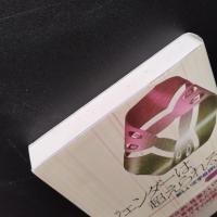 ジェンダーは超えられるか　新しい文学批評に向けて　