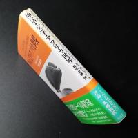 神話・文学・アフリカ世界　☆