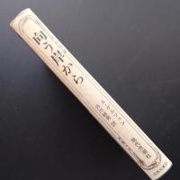 向こう岸から　☆
