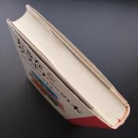 大きなケストナーの本