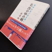 精神科医が読み解く　名作の中の病